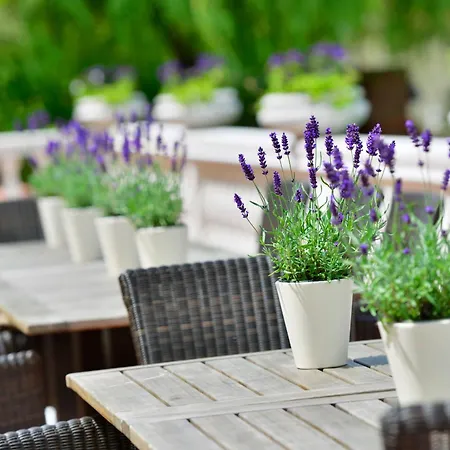 Hotel Der Lindenhof 4*