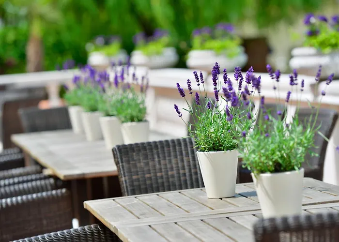 Hotel Der Lindenhof 4*